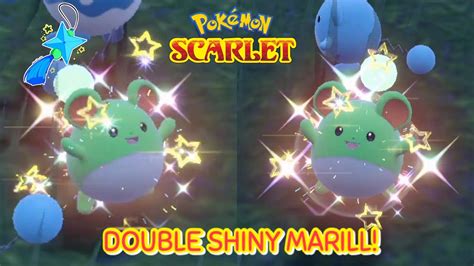 Pok Mon Scarlet Double Shiny Marill Via Fairy Sandwich Boost Nd One