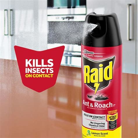 Raid Roach