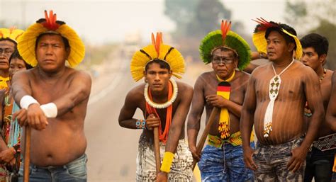 Brazils Indigenous Groups Demand A Voice In New Soybean Railway