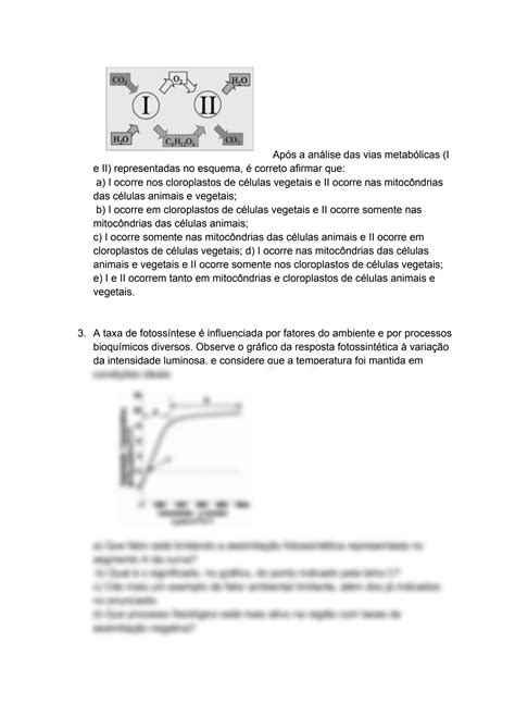 SOLUTION Lista De Exerc Cios Fotoss Ntese E Respira O Celular Studypool