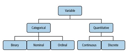 Data Variables Types Uses In Data Science Analytics Yogi