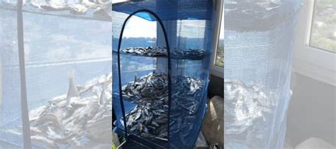 Легенда чебак вяленый волжский с икоркой купить в Самаре | Товары для ...