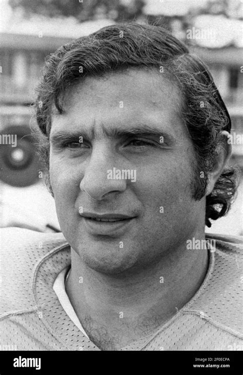 Undated photo of Miami Dolphins #85 linebacker, Nick Buoniconti (1969 ...