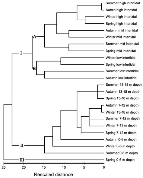 Cluster Analysis Dendrogram Based On The Similarity Of Macroalgal