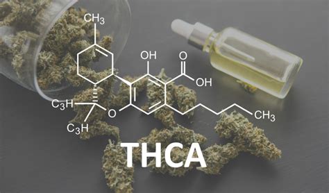 Unleashing The Power Of Thca Exploring Its Benefits And Uses Youfro