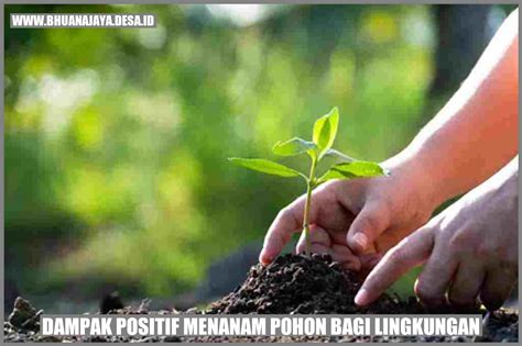 Dampak Positif Menanam Pohon Bagi Lingkungan Desa Bhuana Jaya Kab