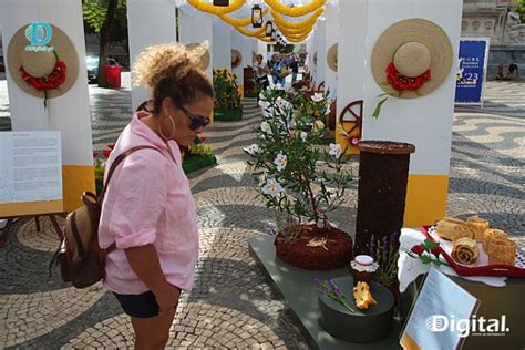 Arte Do Trabalhar O Papel Do Povo De Redondo Foi A Lisboa Promover As