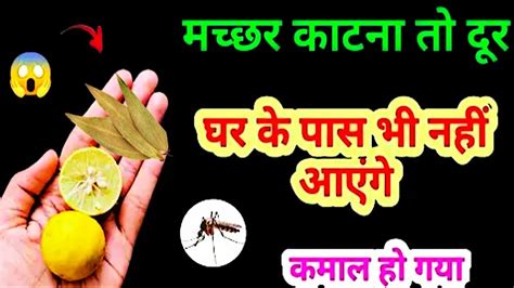 न केमिकल न कीटनाशक मच्छर भगाने का घरेलू तरीका😱 Kitchen Tips Machar