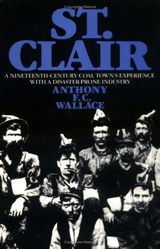 St Clair A Nineteenth Century Coal Town S Experience With A Disaster