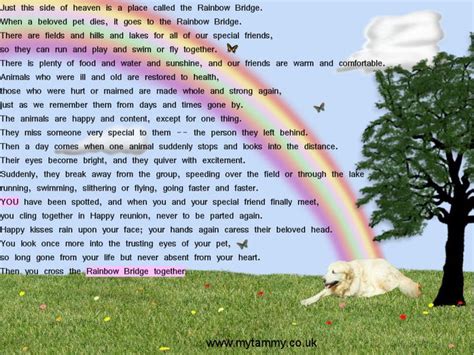 Original Rainbow Bridge Poem Rainbow Bridge Rainbow Bridge Golden