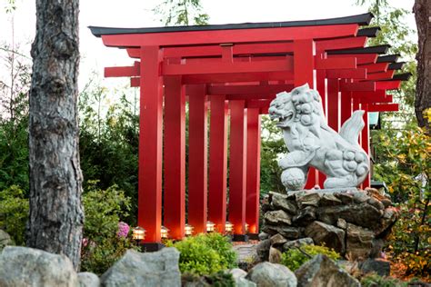 Gallery Mt Fuji Restaurants