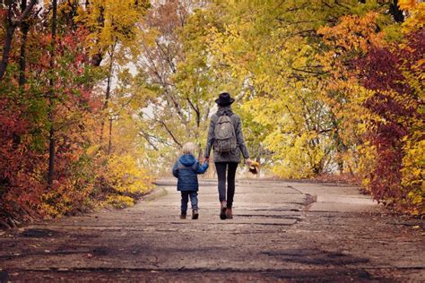 Mom And Son Are Walking In The Autumn Park View From The Back Stock