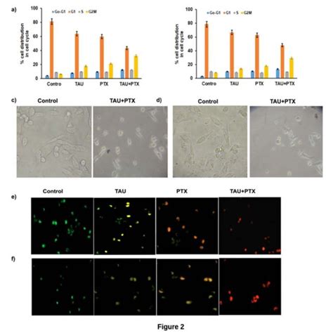 Paclitaxel Resistant Mda Mb And Mda Mb Cells Well