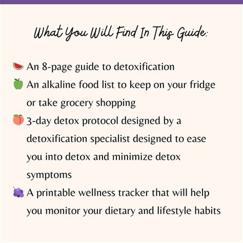 3 Day Detox Guide And Checklist Detox Checklist Post Vacation Detox Beach Body Planner Weight