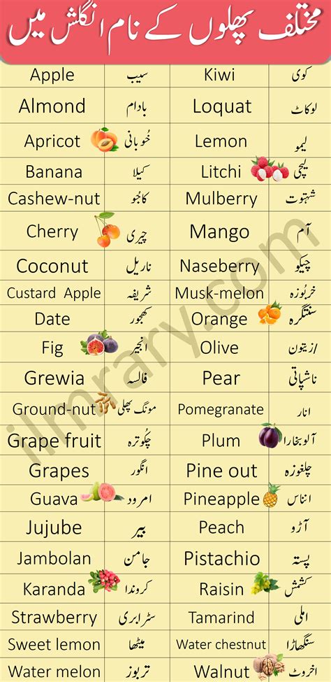 Fruits Names Vocabulary In English With Urdu Meanings Fruit Names