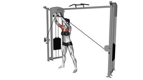 Cable Upper Chest Crossovers Female Exercise Guide And Tips