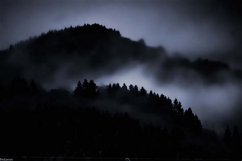 Dark Woods Wallpaper Wallpapersafari