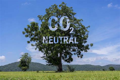 Qué es la neutralidad de carbono o Net Zero