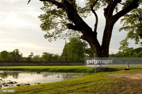 Sukhothai (City) Photos and Premium High Res Pictures - Getty Images