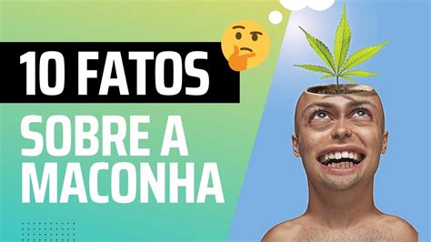 Curiosidades Sobre A Maconha Youtube