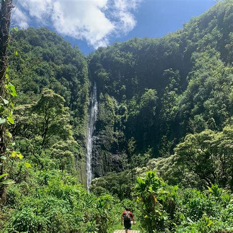 Kipahulu Campground | The Dyrt