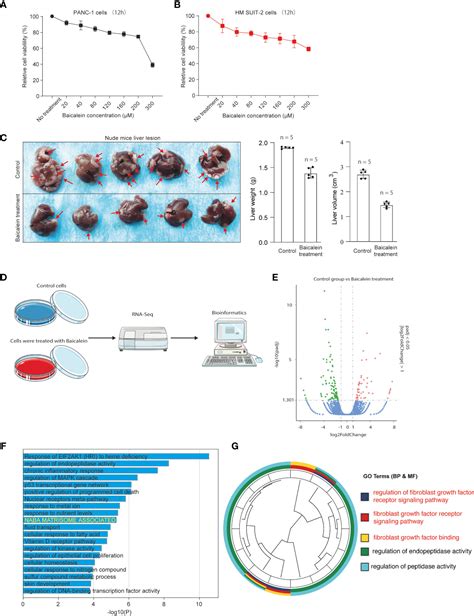 Frontiers Identifying A Baicalein Related Prognostic Signature