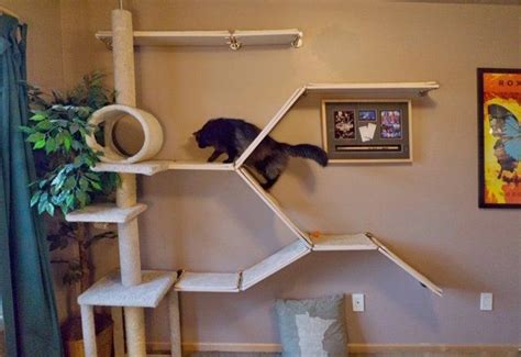 Cat Wall Design 101 Diy Cat Wall Ideas 59 Off