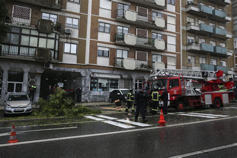 Chuva e queda de árvores em Lisboa As fotografias do mau tempo