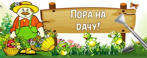 Дачники | Этот канал не скрывает, что дача — это не только свежий ...