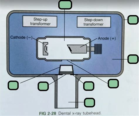 Dental X Ray Tubehead Parts Identification Diagram Quizlet