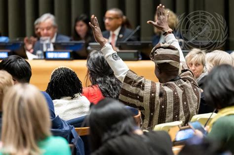 Town Hall Meeting With Civil Society During 68th Session Of Commission