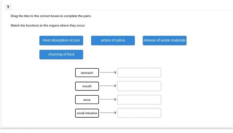 Drag The Tiles To The Correct Boxes To Complete The Pairs Match The