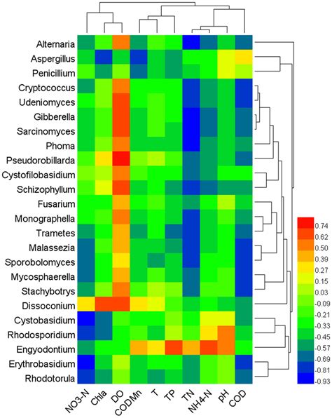 Heat Map And Hierarchical Clustering Tree Of Spearman Correlation