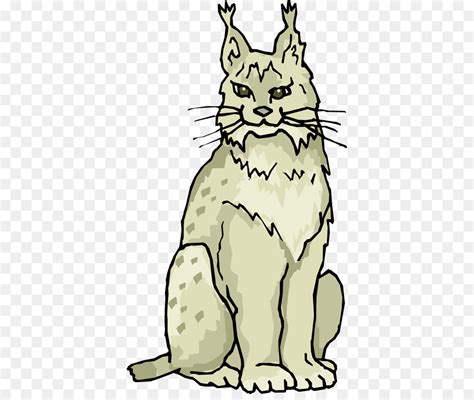 Eurasian Lynx Whiskers Bobcat Canada Lynx Clip Art Lynx Cliparts Png