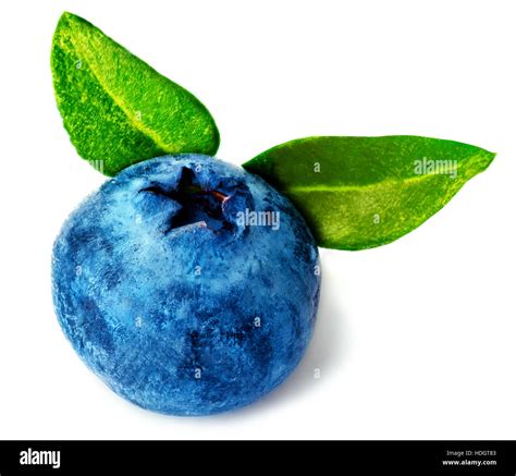 Single Fresh Blueberry Isolated On White Background Stock Photo