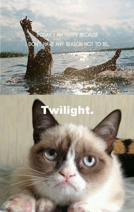 17 Best Images About Grumpy Cat On Pinterest Cats Sugar Cubes And Twilight