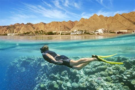 Snorkeling trips in Dahab – White Shark Travel