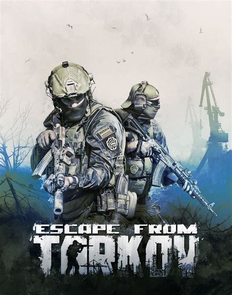 Battlestate games launcher opens and closes - tolfsk