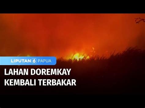 Lahan Doremkay Kembali Terbakar Liputan Papua Youtube