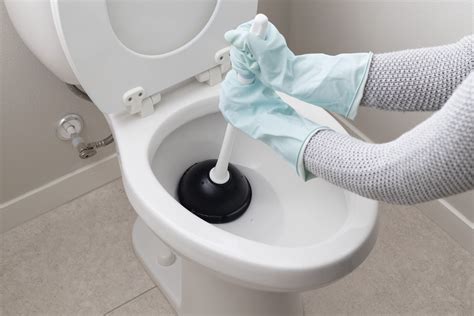 How To Fix A Clogged Toilet With A Plunger - Goimages Ville