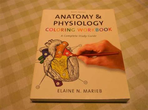 Uncovering The Secrets Revealing The Chapter 4 Anatomy And Physiology