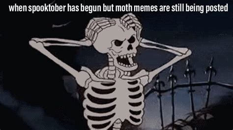 Move Over Moth Memes Spooky Memes Are Here Just In Time For Halloween Vice