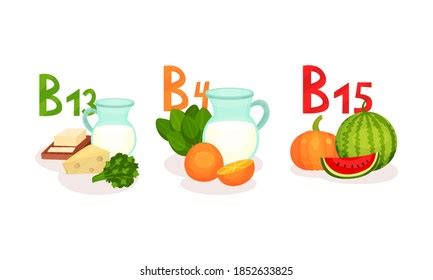 Vitamin B Food Icon Vector Vitamin Stock Vector Royalty Free