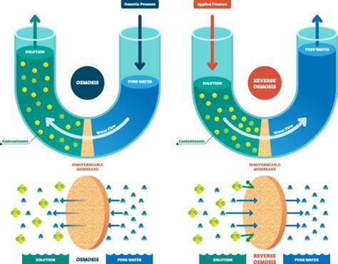 How Does A Reverse Osmosis Water Filtration System Work Wolverine