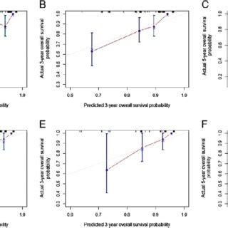 Calibration Curves For And Year Overall Survival Of Second