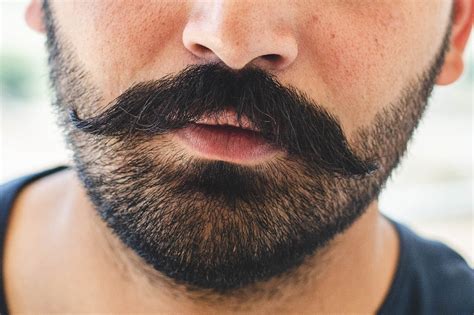 The 23 Best Beard Styles For Men In 2024 The Beard Struggle