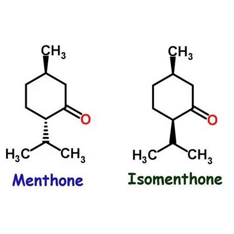 Menthone at Rs 1300/kg | Mahrauli | Ghaziabad | ID: 19763146430