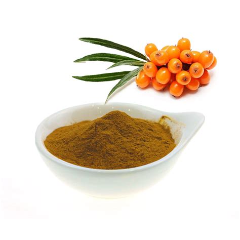 China FACTORY OFFER 100% NATURAL SEA BUCKTHORN POWDER, SEA BUCKTHORN ...