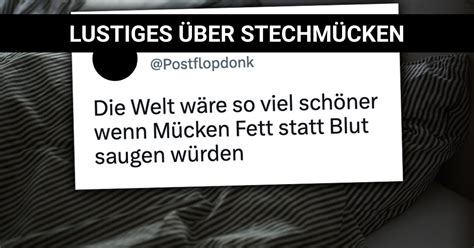 Kommen So Langsam Wieder Lustiges Ber Stechm Cken Webfail Fail