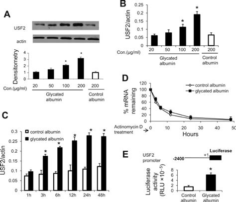 Glycated Albumin Upregulated Upstream Stimulatory Factor Usf